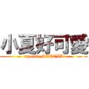 小夏好可愛 (my cute STACIA)