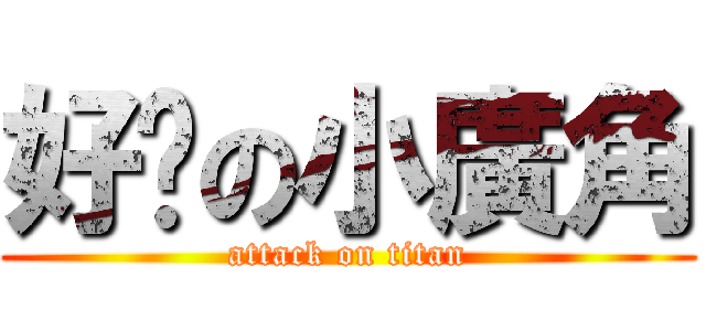 好溼の小廣角 (attack on titan)