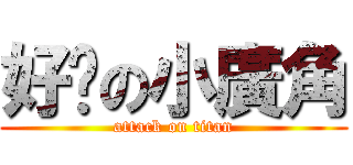 好溼の小廣角 (attack on titan)