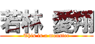 若林 愛翔 (This is a monster)