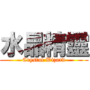 水晶精靈 (Crystal Wizard)