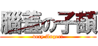 腦羞の子頡 (very Anger!)