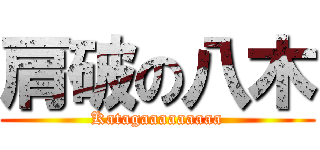 肩破の八木 (Katagaaaaaaaaa)