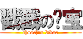 戳戳の哔宝 (chuochuo bibao)