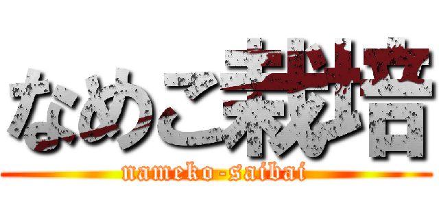 なめこ栽培 (nameko-saibai)