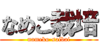 なめこ栽培 (nameko-saibai)