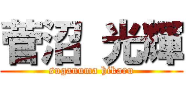 菅沼 光輝 (suganuma hikaru)