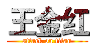 王金红 (attack on titan)