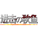 进击の秋鱼 (Kyokainokanata)