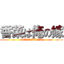 香菜は俺の嫁 (LOVE KANA)