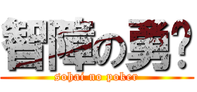 智障の勇胜 (sohai no poker)
