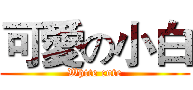 可愛の小白 (White cute)