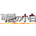 可愛の小白 (White cute)