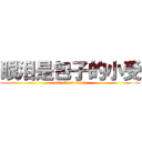 眼泪是包子的小受 (attack on titan)