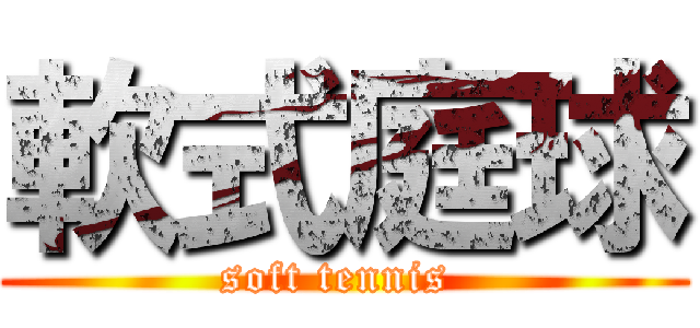 軟式庭球 (soft tennis )