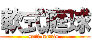 軟式庭球 (soft tennis )