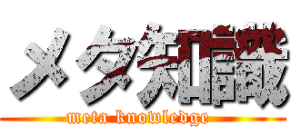 メタ知識 (meta knowledge )