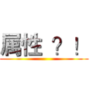 属性  ？！ ()
