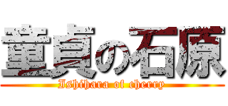 童貞の石原 (Ishihara of cherry)