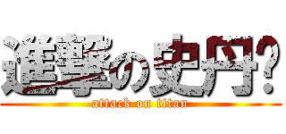 進撃の史丹妮 (attack on titan)