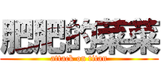 肥肥的菜菜 (attack on titan)