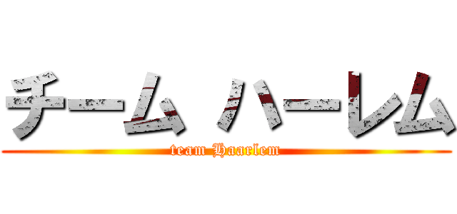チーム ハーレム (team Haarlem)
