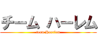 チーム ハーレム (team Haarlem)