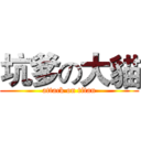 坑爹の大貓 (attack on titan)