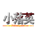 小落英 (Divergent)