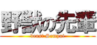 野獣の先輩 (beast Sempai)