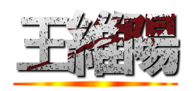 王維陽 ()
