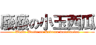 廢廢の小玉西瓜 (Waste Waste on Kodama watermelon)