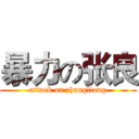 暴力の张良 (attack on zhangliang)