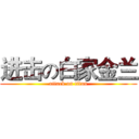 进击の白家金兰 (attack on titan)