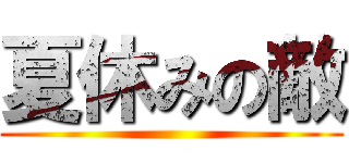 夏休みの敵 ()