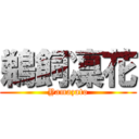 鵜飼凜花 (Yamazato)