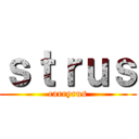 ｓｔｒｕｓ (carryrus)