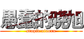 愚蠢的晓旭 (stupid xiaoxu)