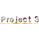Ｐｒｏｊｅｃｔ ３ ()