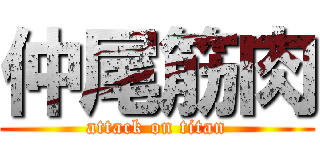 仲尾筋肉 (attack on titan)