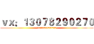 ｖｘ：１３０７８２９０２７０ (vx：13078290270)