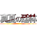 真夏の廷林 (淆底の智障施廷林)