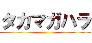 タカマガハラ ()