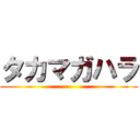 タカマガハラ ()