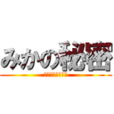 みかの秘密 (嘘は良くないねぇ)