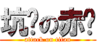 坑爹の赤龙 (attack on titan)