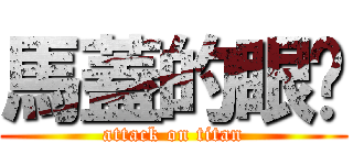 馬蓋的眼淚 (attack on titan)