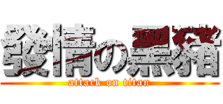 發情の黑豬 (attack on titan)