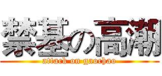 禁基の高潮 (attack on gaochao)