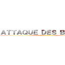 ＡＴＴＡＱＵＥ ＤＥＳ ＢＯＫＩＴＳ (attack on bokit)